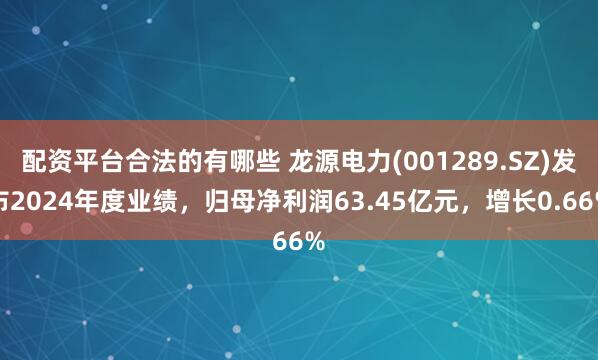 配资平台合法的有哪些 龙源电力(001289.SZ)发布2024年度业绩，归母净利润63.45亿元，增长0.66%