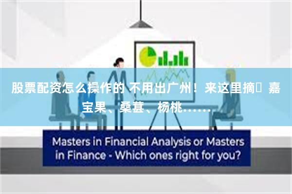 股票配资怎么操作的 不用出广州！来这里摘​嘉宝果、桑葚、杨桃……