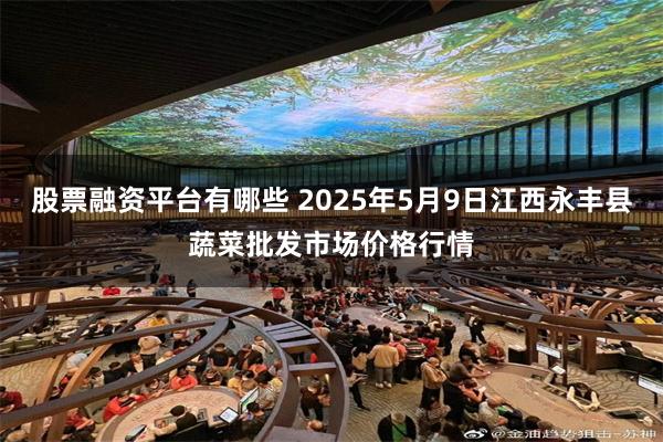 股票融资平台有哪些 2025年5月9日江西永丰县蔬菜批发市场价格行情