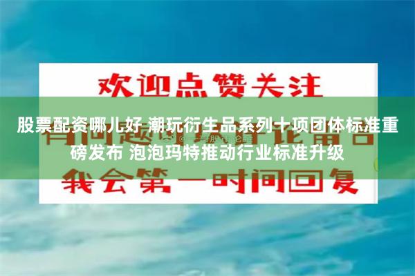 股票配资哪儿好 潮玩衍生品系列十项团体标准重磅发布 泡泡玛特推动行业标准升级