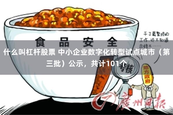 什么叫杠杆股票 中小企业数字化转型试点城市（第三批）公示，共计101个