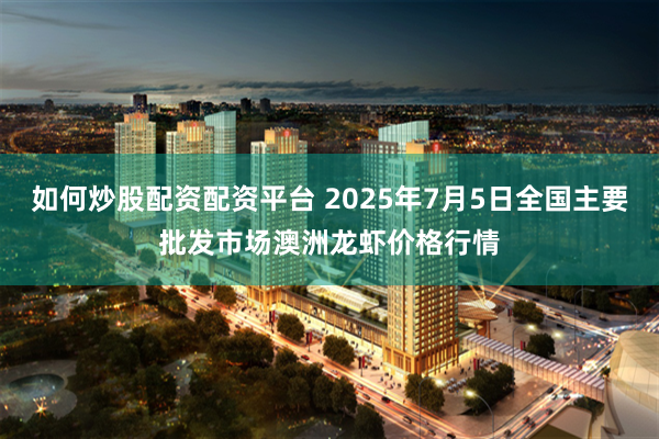 如何炒股配资配资平台 2025年7月5日全国主要批发市场澳洲龙虾价格行情