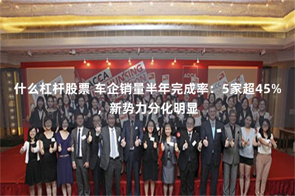什么杠杆股票 车企销量半年完成率：5家超45%，新势力分化明显
