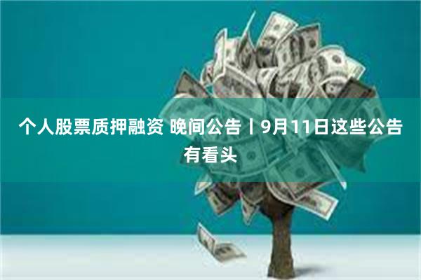个人股票质押融资 晚间公告丨9月11日这些公告有看头
