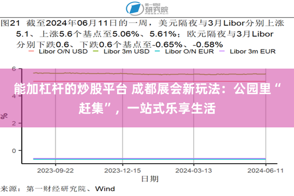 能加杠杆的炒股平台 成都展会新玩法：公园里“赶集”，一站式乐享生活