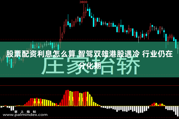 股票配资利息怎么算 智驾双雄港股遇冷 行业仍在分化期